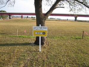 天然芝生に建てられたスポーツ振興くじ(toto)の看板