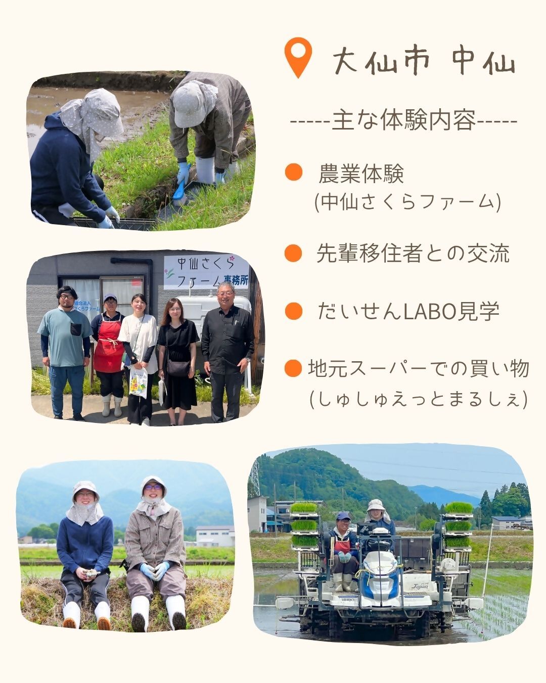 大仙市中仙、主な体験内容、農業体験（中仙さくらファーム）、先輩移住者との交流、だいせんLABO見学、地元スーパーでの買い物（しゅしゅえっとまるしぇ）