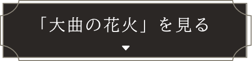 「大曲の花火」を見る
