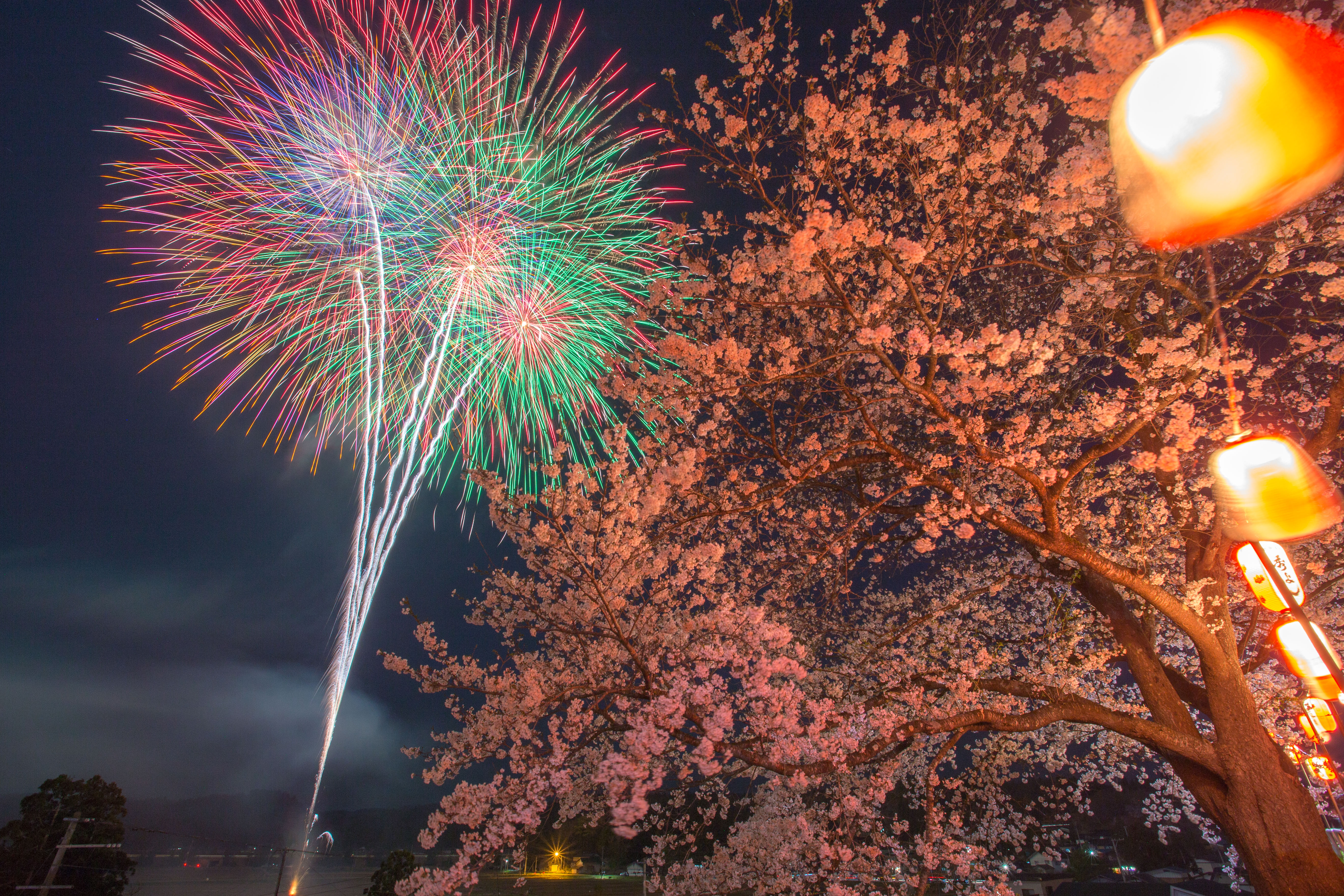 内小友余目さくら花火観賞会の写真