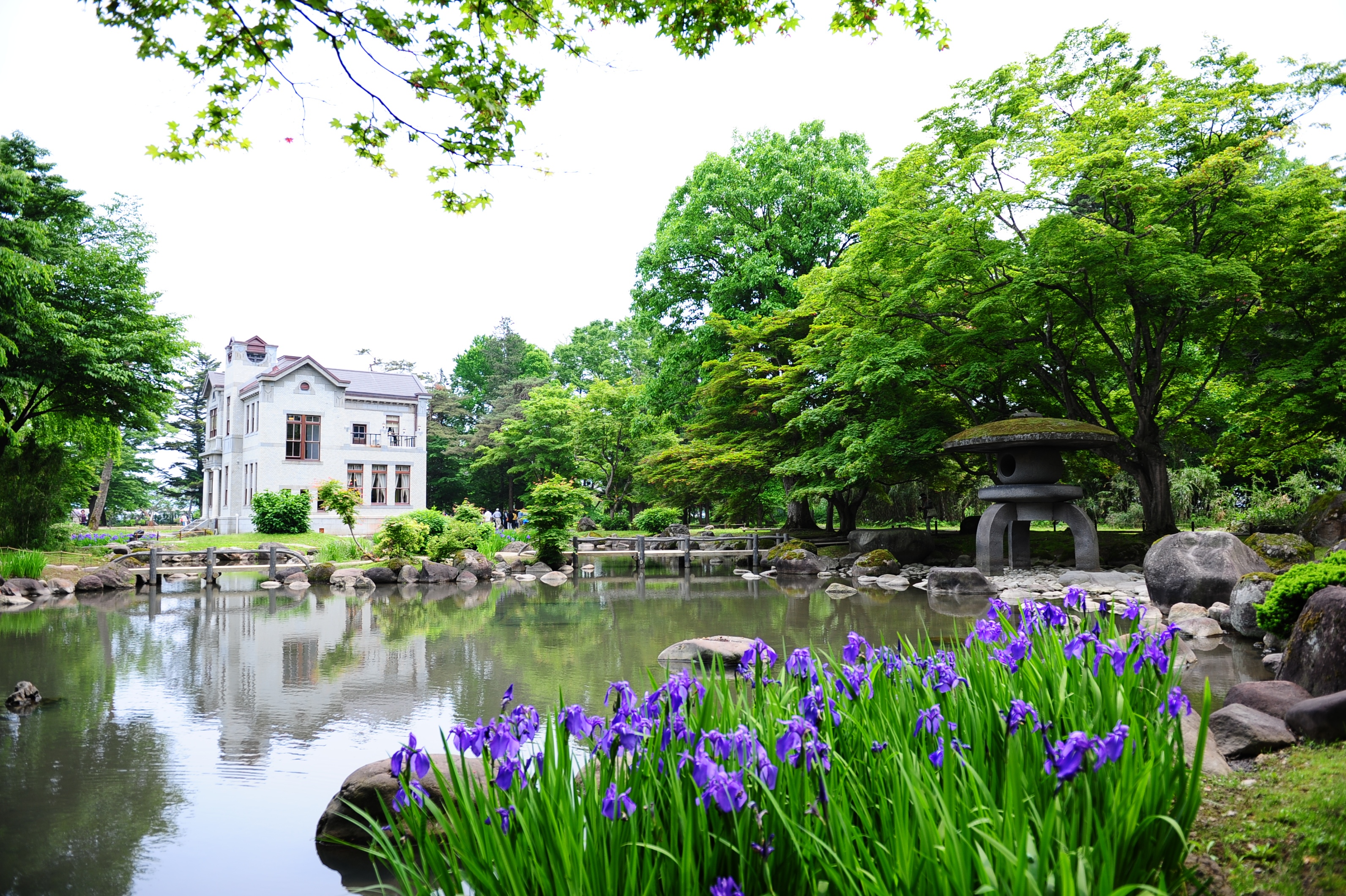 仙北_旧池田氏庭園(初夏)