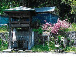 雄清水・雌清水