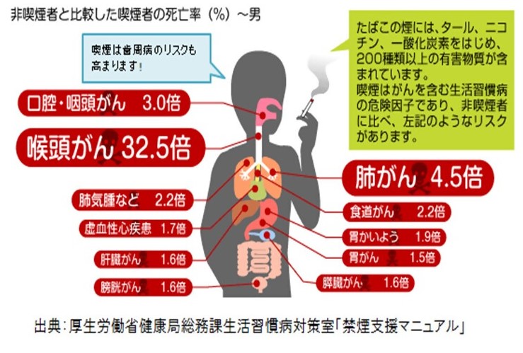 男性の非喫煙者と比較した喫煙者の死亡率について。喫煙者が非喫煙者と比べ、がんを引き起こす確率がどの程度高いかが示されている。タバコ内の有害物質と、その他の危険についても説明されている。