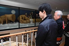 画像:藤井聡太竜王が、大綱交流館・大綱展示場で刈和野綱引き保存会会員の解説を聞きながら見学している様子