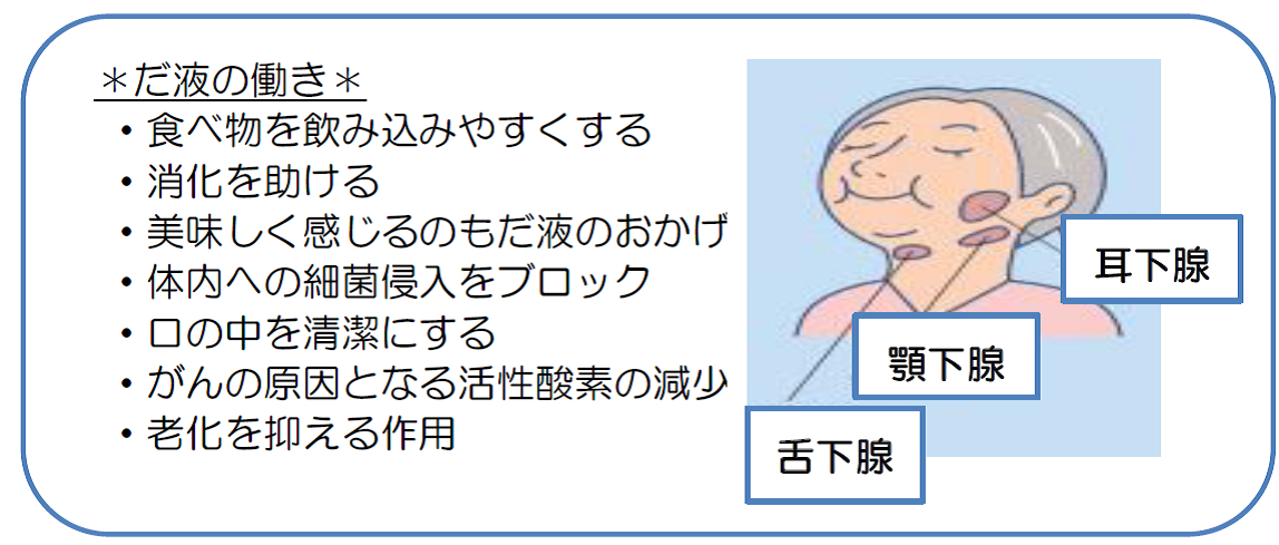 唾液の働きの1つ目は食べ物を飲み込みやすくすることです。2つ目は消化を助けることです。3つ目は美味しく感じるのも唾液におかげであることです。4つ目は体内での細菌侵入をブロックしてくれることです。5つ目は口の中を清潔にすることです。癌の原因となる活性化酸素を減少させてくれることです。そして7つ目は老化を抑えてくれる作用があることです。