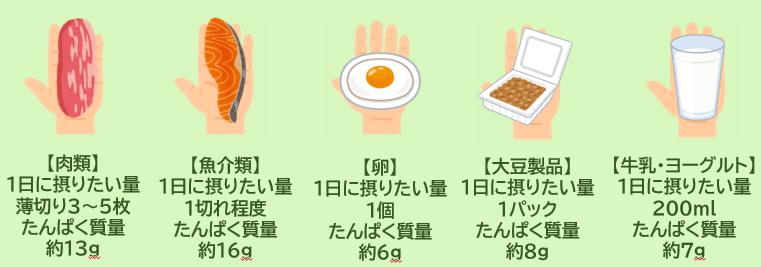 たんぱく質を含む食品、続けて詳細を説明します