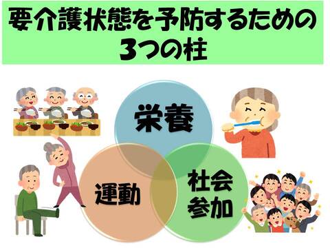 要介護状態を予防するための3つの柱は、栄養、運動、社会参加です。