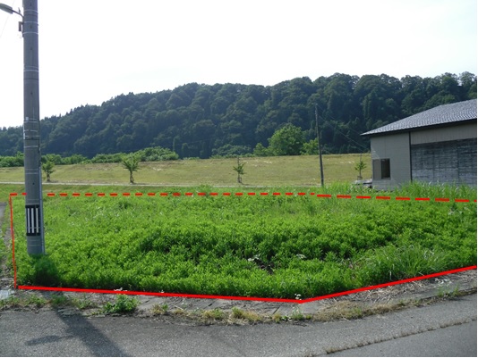 強首字強首560番32の写真