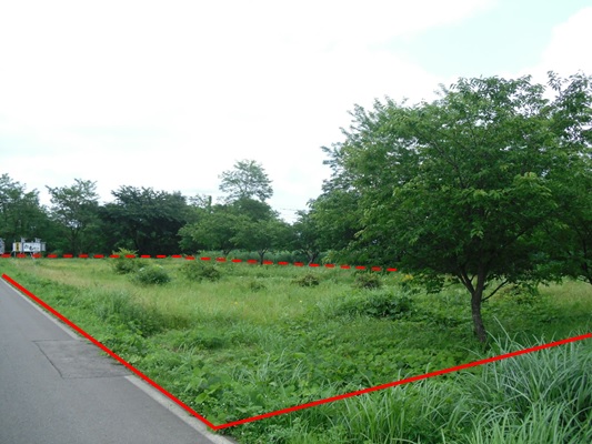 強首字上野台15番1の写真