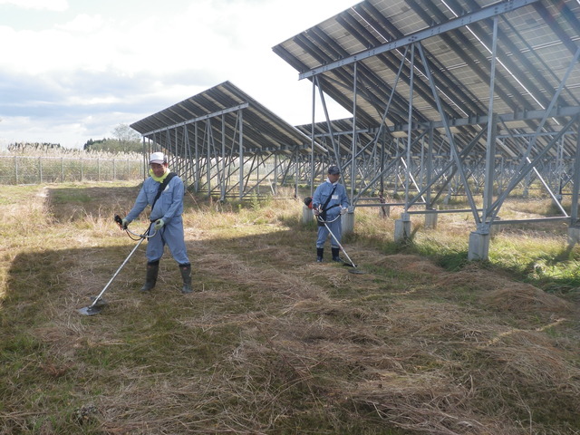 発電所構内の草刈り作業の様子