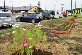 道の駅なかせんの花壇の写真