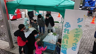 ジャンボうさぎふれあい広場の様子