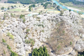 八乙女山