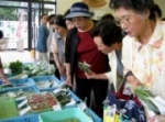 地元農産物の直売所