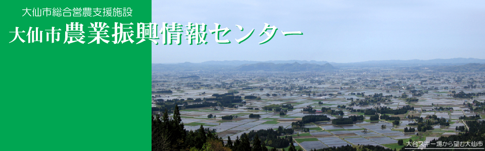 大台から望む大仙市