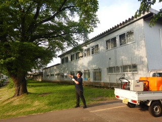 作業員が防除機から伸びた噴霧ノズルを持ち樹木に向かって薬剤を散布している