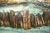 写真:発掘された角材列