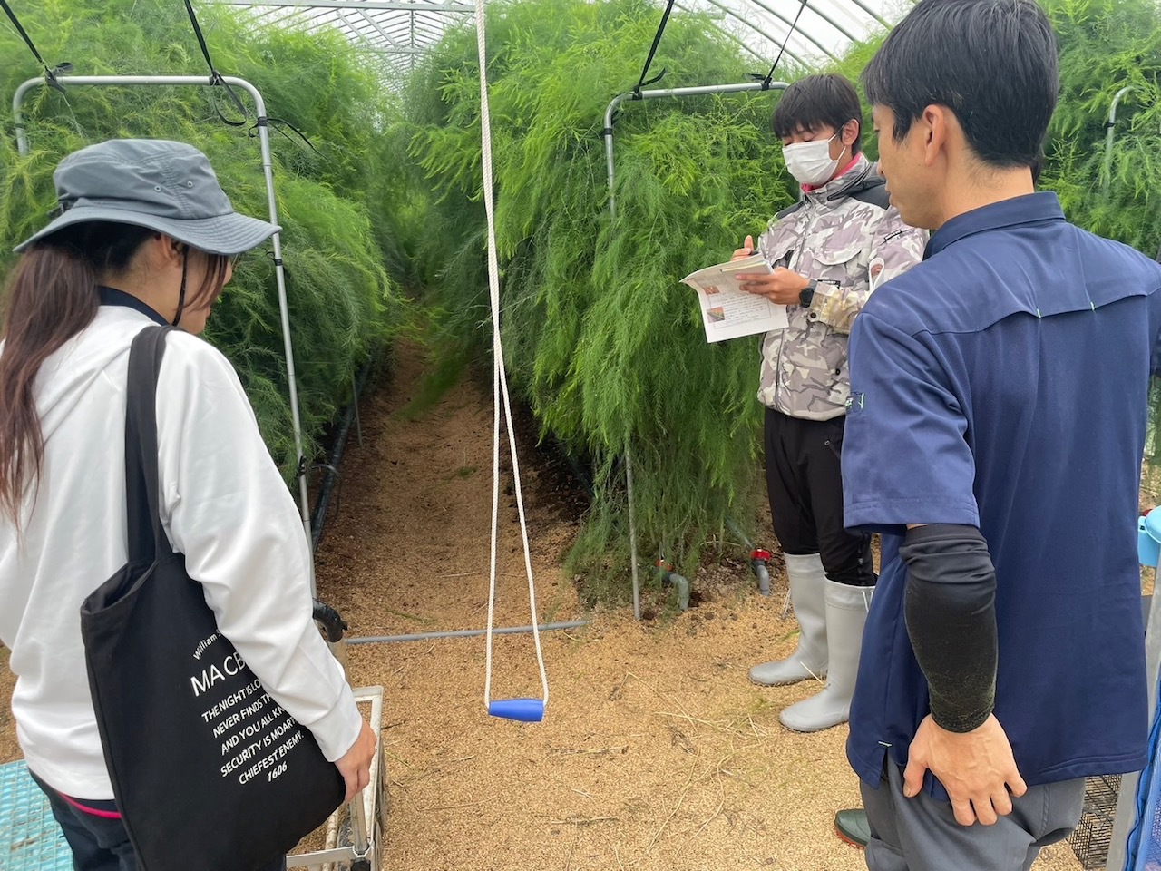 アスパラガス農場視察の様子03