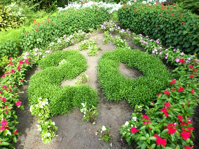 もっと近くで20を形どった植物が見えるように撮影