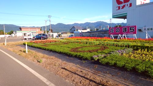 9月9日の花壇1