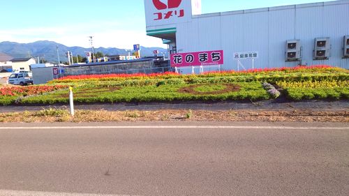 9月9日の花壇2