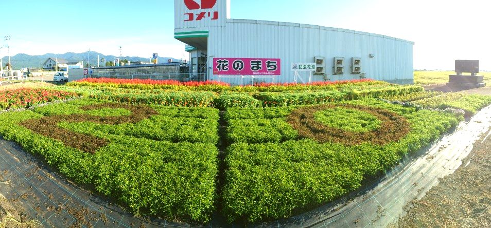 9月9日の花壇3
