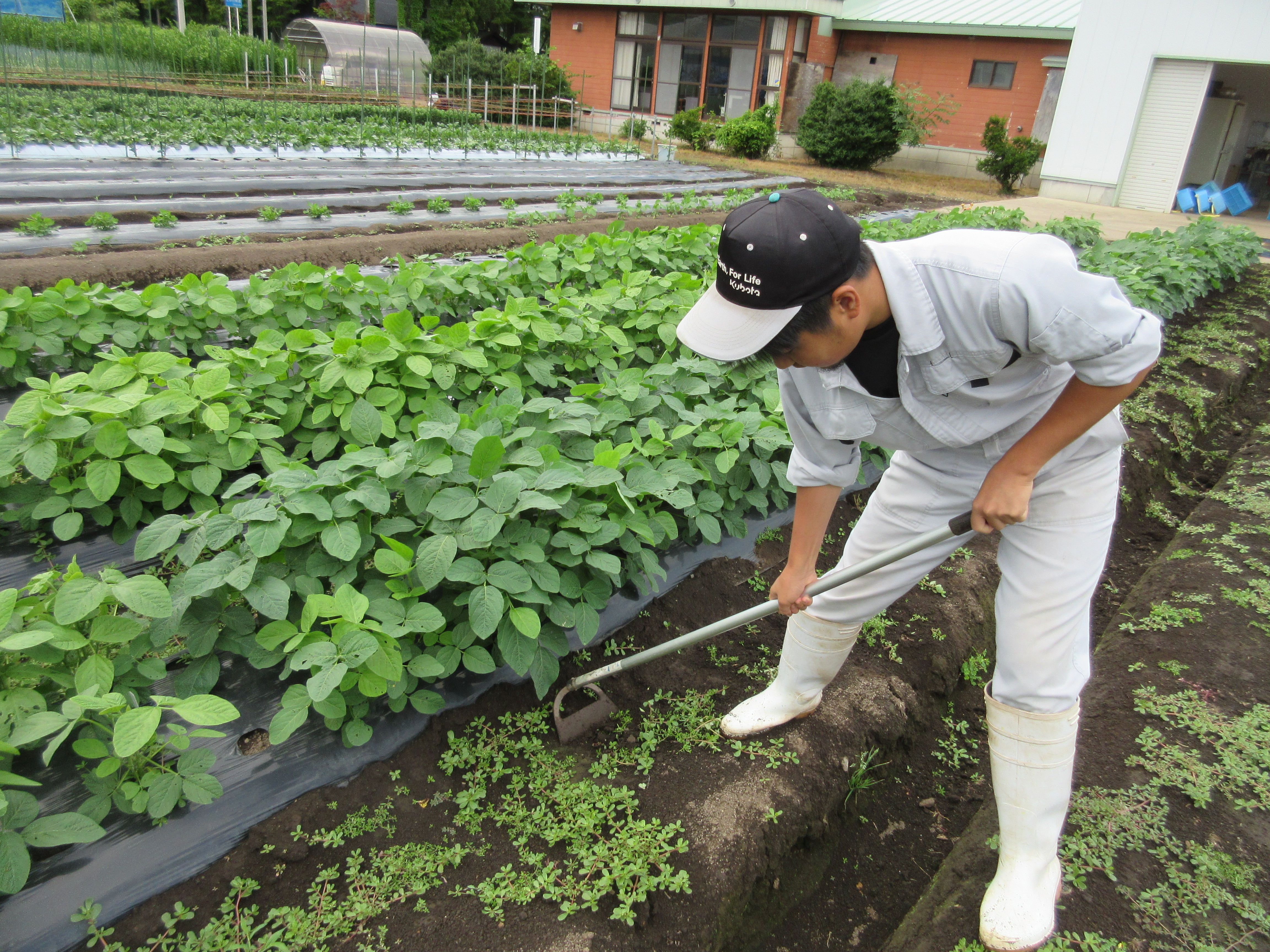 西部研修施設の様子