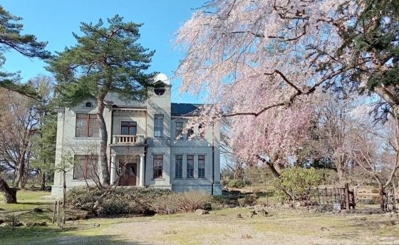旧池田家住宅洋館とシダレザクラの写真