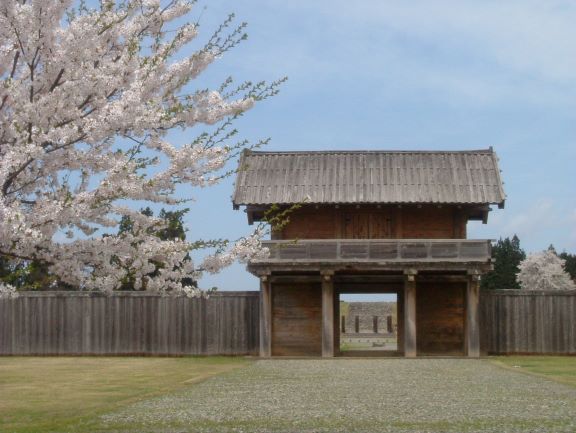 外柵南門と桜