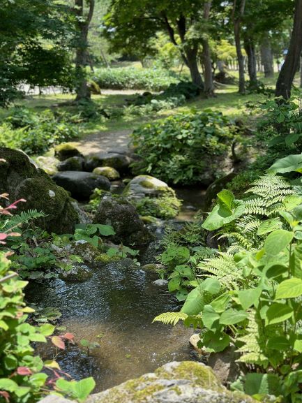主庭園の築山の上から滝を覗く