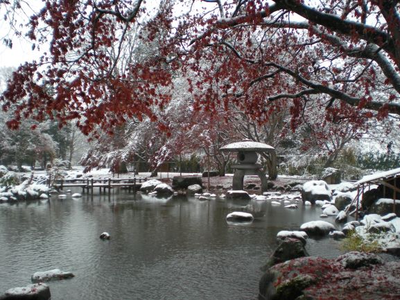 雪化粧をした庭園