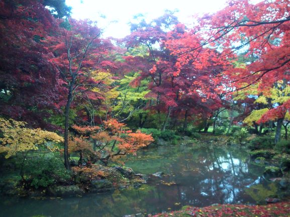 紅葉に包まれる払田分家庭園