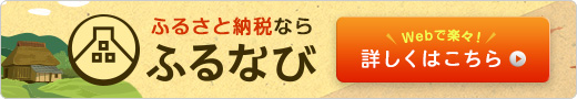 ふるさと納税ならふるなびwebで楽々!詳しくはこちら