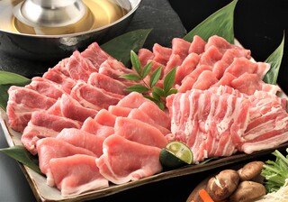 杜仲豚