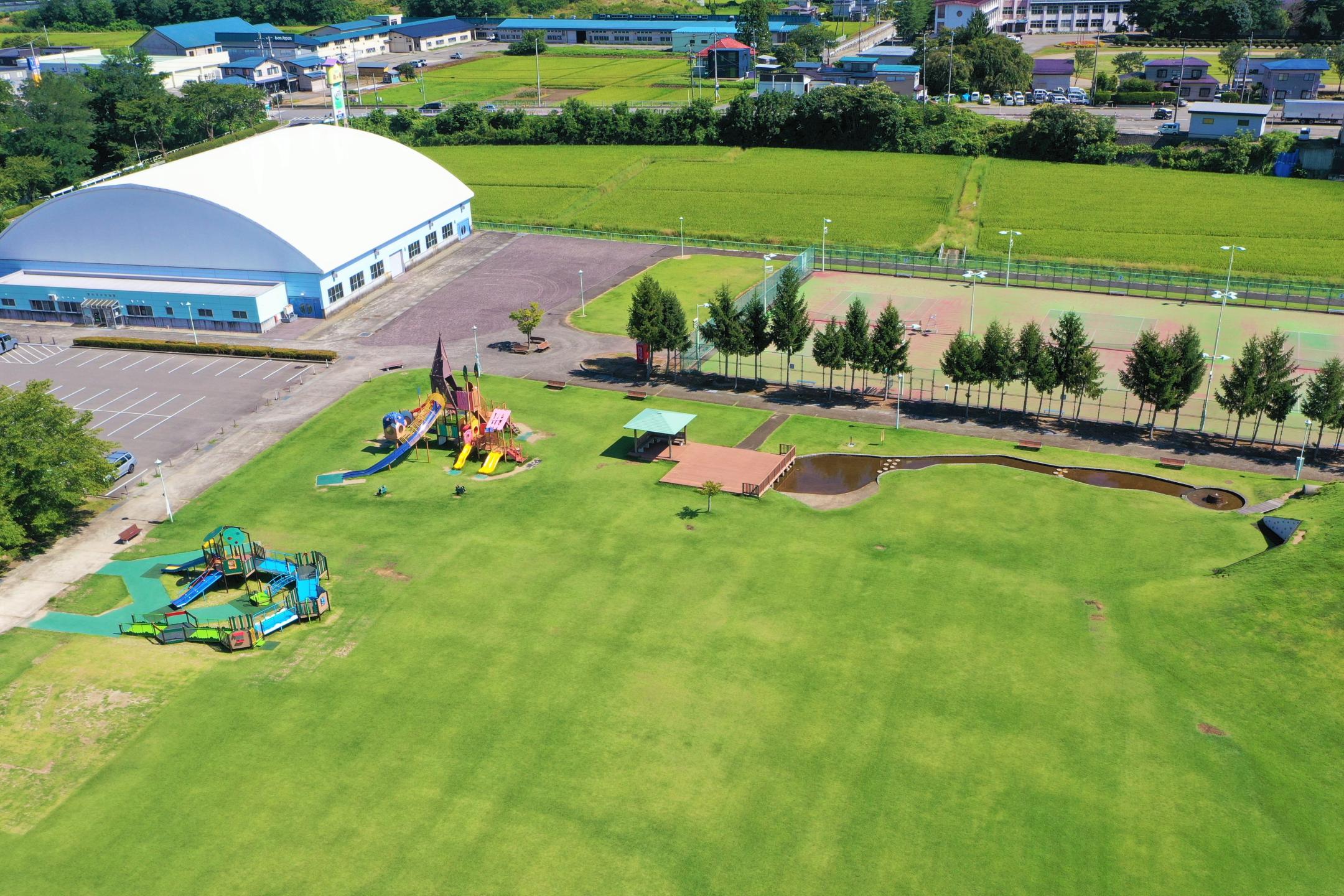 公園の全景を撮影した航空写真