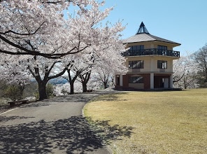 桜と展望管理棟