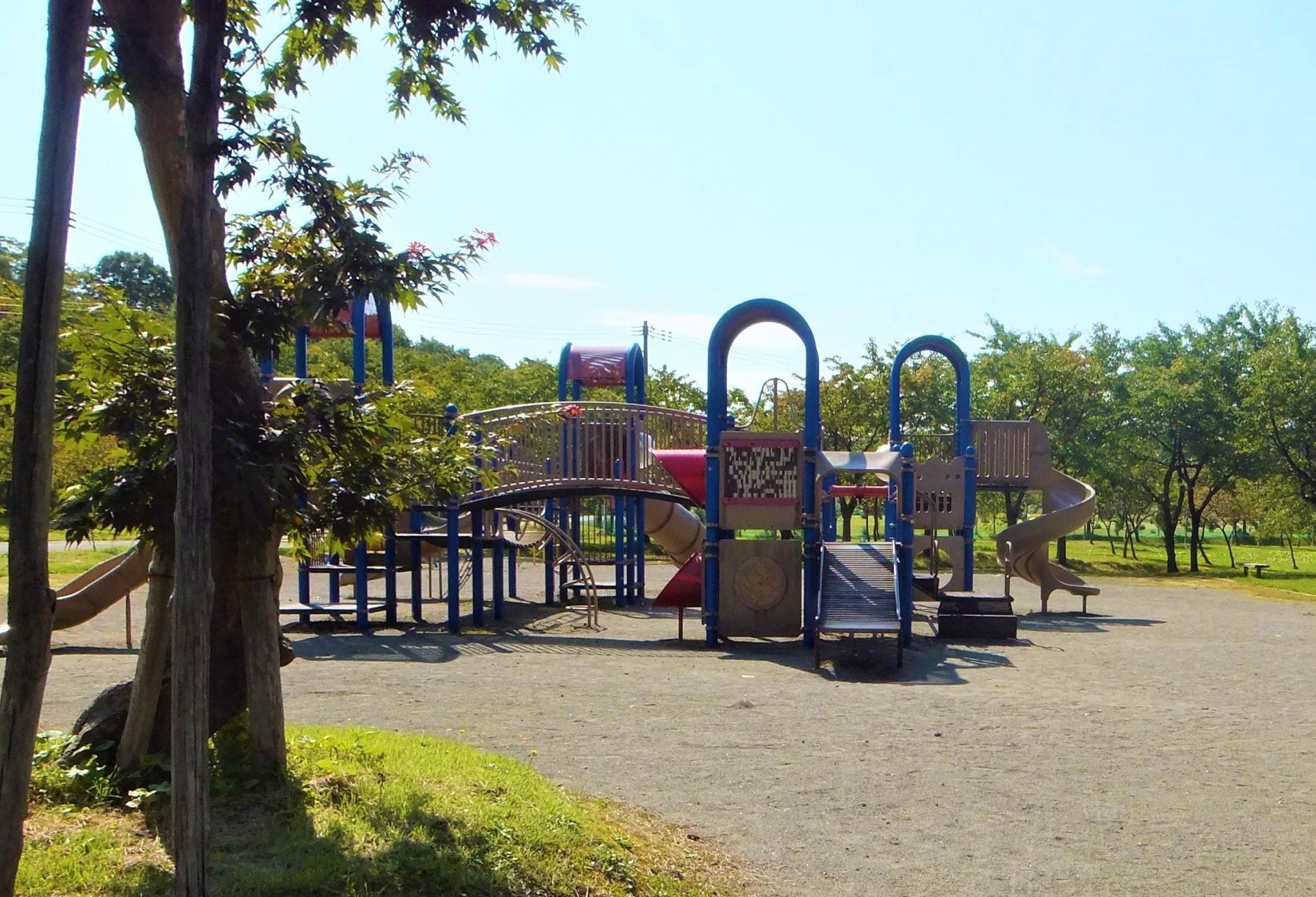 公園内の遊具