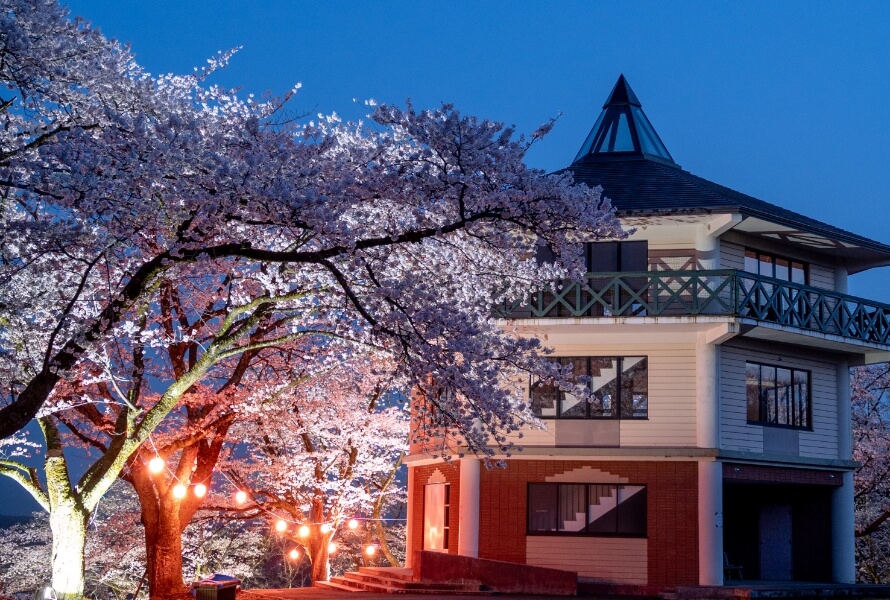 大佐沢公園の写真