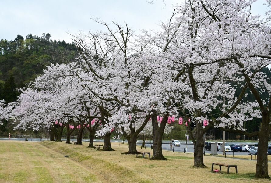 米ヶ森公園の写真