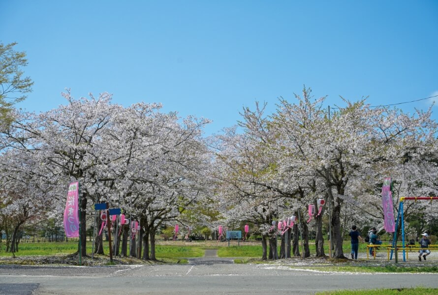 南外ふれあいパークの写真
