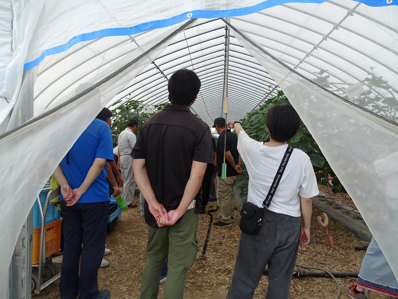 ほ場見学の様子01