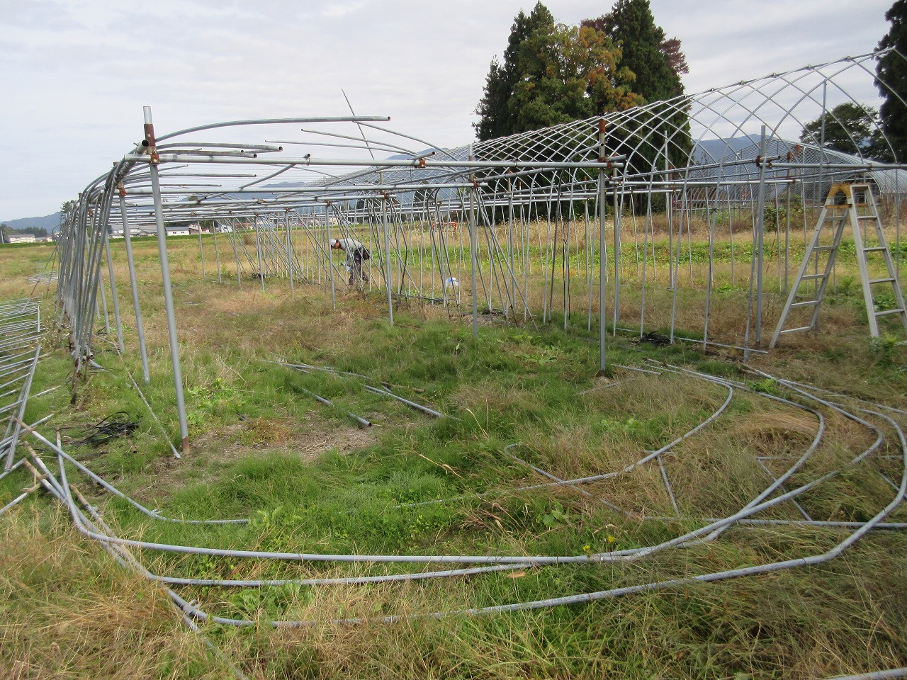 ハウスの骨組みを解体している様子01