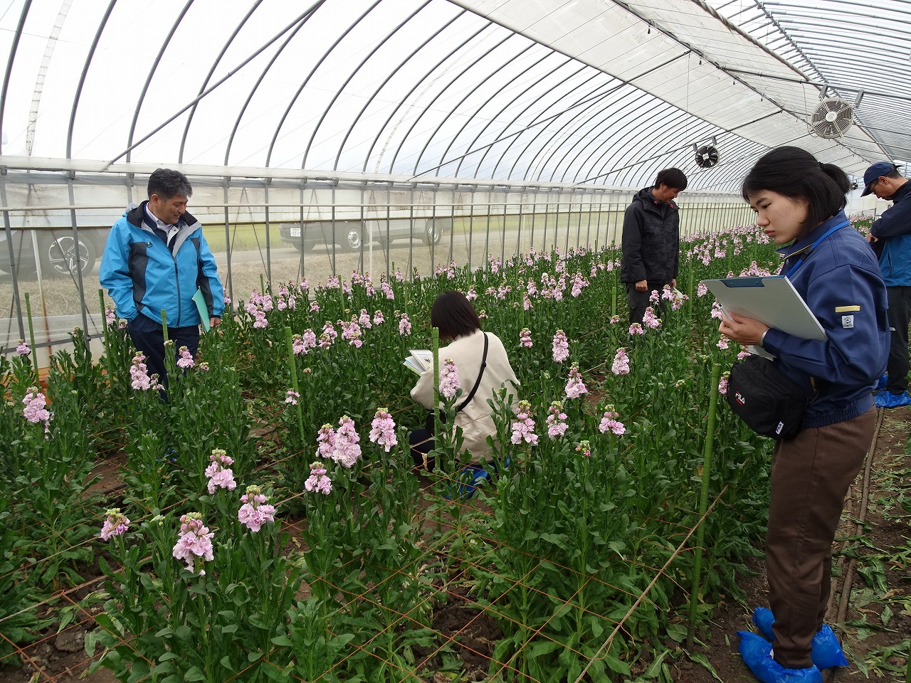ハウス内見学の様子01