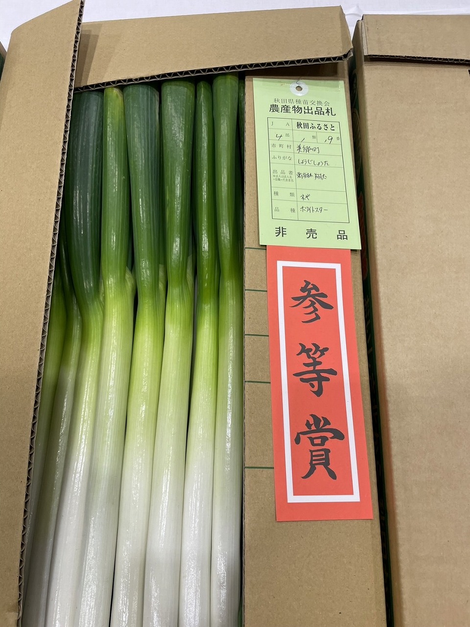 修了生が3等賞を獲得した長ネギ