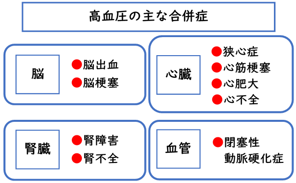 高血圧が引き起こす病気(脳の場合は脳出血と脳梗塞、心臓の場合は狭心症と心筋梗塞と心肥大と心不全、腎臓の場合は腎障害と腎不全、血管の場合は閉塞性動脈硬化症)