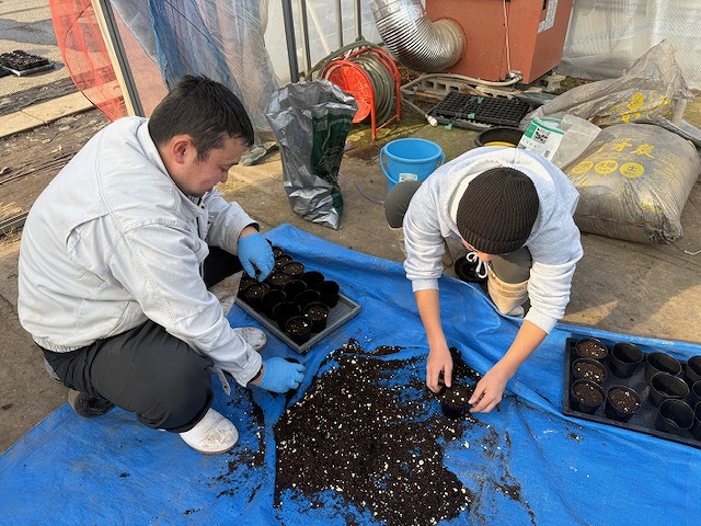 2名の西部研修生がソラマメの栽培準備している様子
