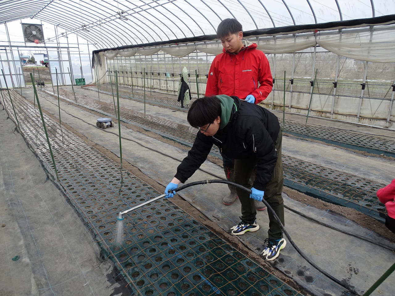 蒔いた種に水をあげている男性研修生と横で様子を伺うもう一人の男性研修生
