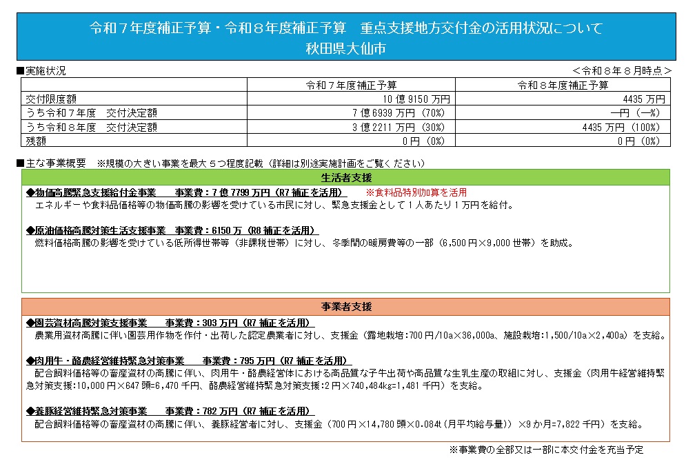 重点支援地方交付金の活用状況(R8.9)続けて詳細を説明します.jpg