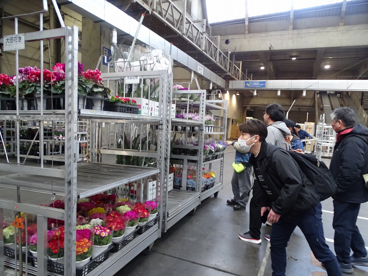 市場に出荷されている鉢物を見る研修生