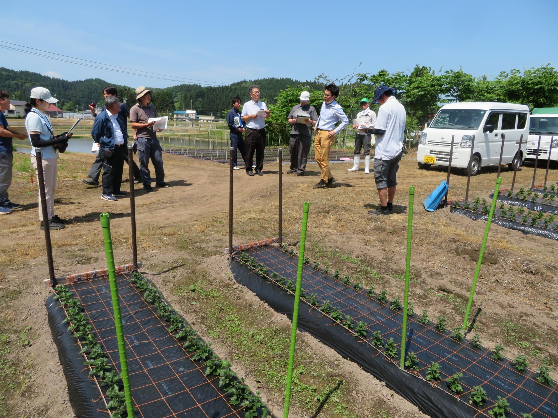 地域で自立して農業を営む新規就農者のほ場を、関係者一同で丁寧に巡回・指導している風景
